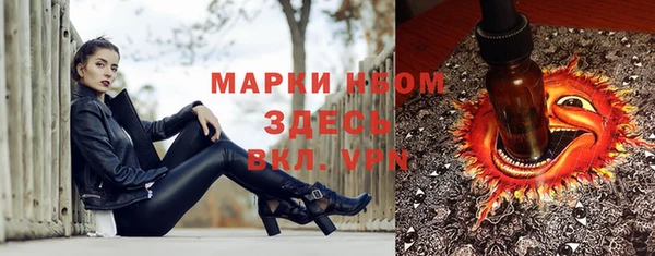 твердый Абаза