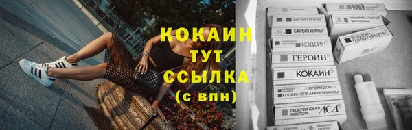 стаф Михайлов