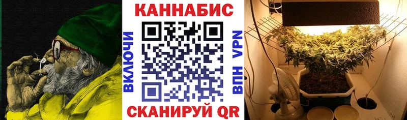 hydra как войти  Яхрома  Конопля ГИДРОПОН  даркнет сайт 
